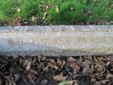 image of grave number 362944